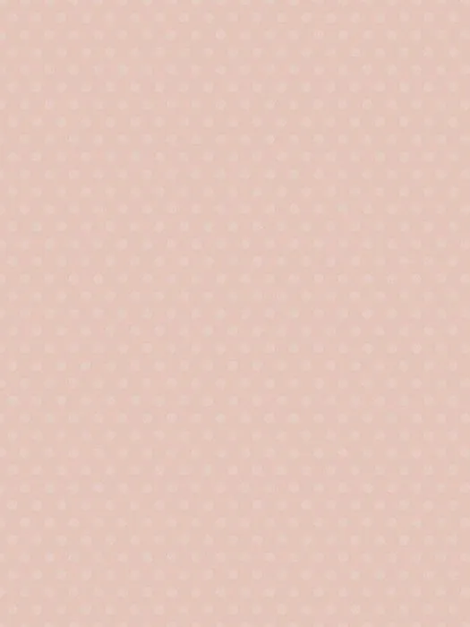 DM6 003