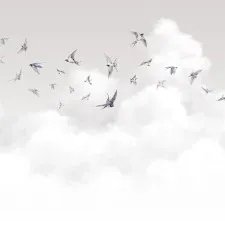 AM11 011