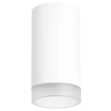 Комплект со светильником Rullo Rullo Lightstar R4363437