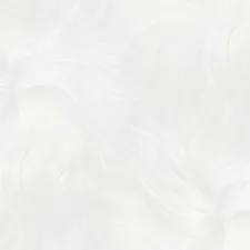 R168113