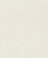 Обои Rasch Rock´n Rolle 541335