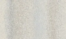 A55206