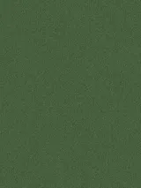 654776