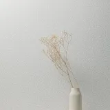 ICE4 001-1_1