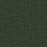 KTS2 005