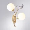 Бра Arte Lamp CAMOMILLA A9712AP-2SG | Дом Декора