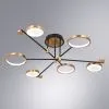 Потолочная люстра Arte Lamp HOLLY A1364PL-6PB | Дом Декора
