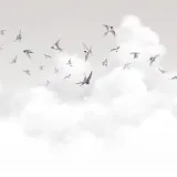 AM11 011