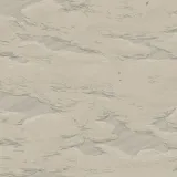AM10 005