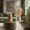 Настенный светильник Divinare NOVA 3001/02 AP-2 | Дом Декора