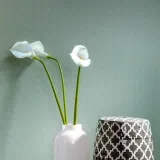 Neo5 005_1