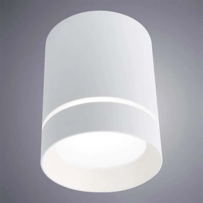 Точечный накладной светильник Arte Lamp ELLE A1909PL-1WH | Дом Декора