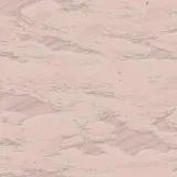 AM10 007