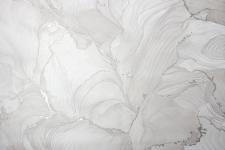 Обои Victoria Stenova Ferrara VS285914