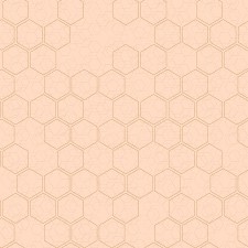 LIB1 007-1