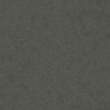 Обои Cassanie Simply SP111