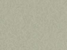 Обои Zambaiti parati Viaggio Italiano R 23042