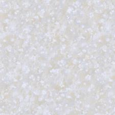 Обои Bernardo Bartalucci Carlotta 84218-2