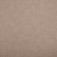 Обои NC Color 4050-070