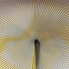 Панно Zambaiti Parati Trussardi VII Z18991